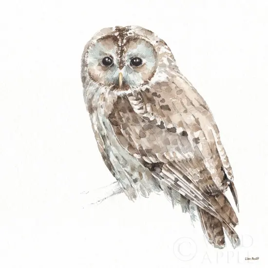 Forest Friends IX Poster Print by Lisa Audit - Item # VARPDX42026 {1}