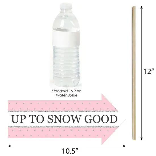 Big Dot of Happiness Funny Pink Onederland - Holiday Snowflake Winter Wonderland Birthday Party Photo Booth Props Kit - 10 Piece {4}
