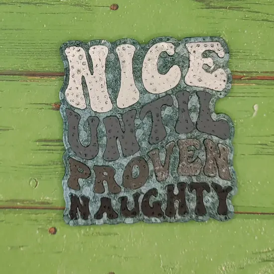 Nice Until Proven Naughty Silicone Freshie Mold {2}