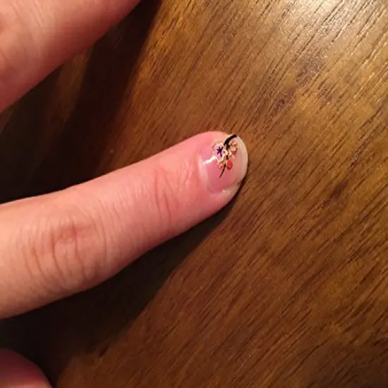 Wrapables Fingernail Stickers Nail Art Nail Stickers Self-Adhesive Nail Stickers 3D Nail Decals - Asian Inspired Lotus, Ginkgo Leaves, Cherry Blossoms & Koi (3 Designs/6 Sheets) {2}