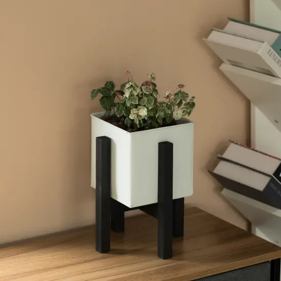 Indoor and Outdoor White Iron Planting Box with Black Wooden Frame {3}