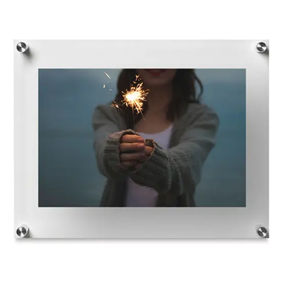 Wexel Art Double Panel Acrylic Display Frame - 12" x 15", Silver Hardware {1}