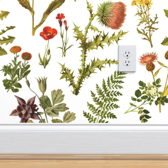 Pre-Pasted Wallpaper 2FT Wide Vintage Botanical Wildflowers Small Florals Botanicals Woodland Flowers Spring Nature Art Illustration Custom Pre-pasted Wallpaper by Spoonflower {4}