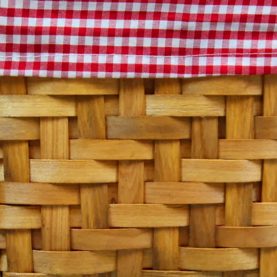 Vintiquewise Rectangular Basket Lined with Gingham Lining, Small (36) {3}