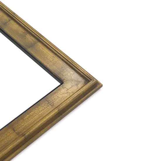 Blick Simplon Frame with Liner - 8" x 10" x 5/16", Gold Crackle/Black {1}