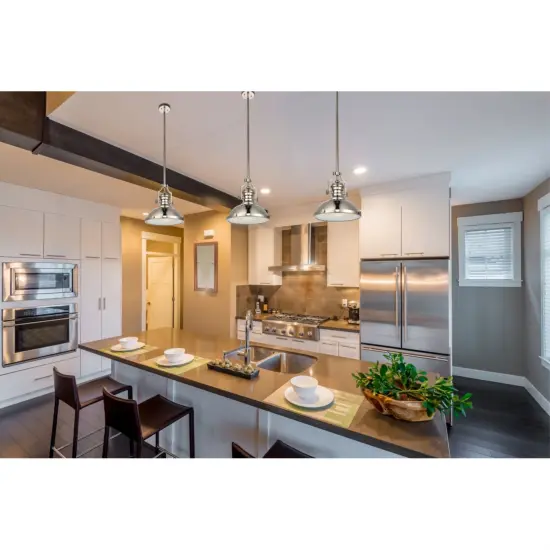 Eamon Collection Pendant D13 H13.3 Lt:1 polished Nickel Finish {2}