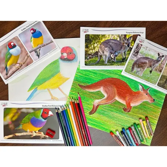 CA: Gouldian Finch & Kangaroo {1}