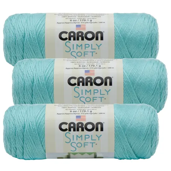 (Pack of 3) Caron Simply Soft Solids Yarn-Robin's Egg {1}