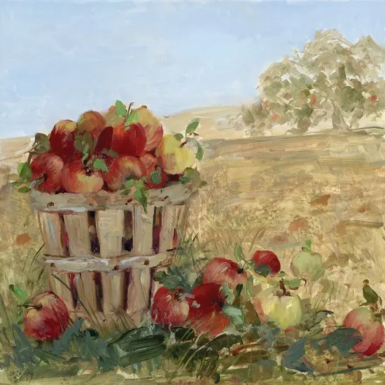 Apple Picking III Poster Print by Sally Swatland - Item # VARPDX18487 {1}