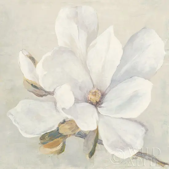 Serene Magnolia Poster Print by Julia Purinton - Item # VARPDX45730 {1}