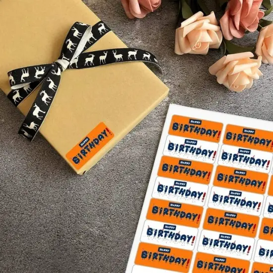 Mailing Address Labels for Laser/Inkjet Printer 1" x 2 5/8" White {6}