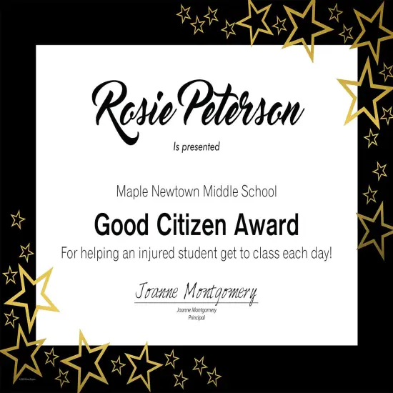 Great Papers! Certificate, Star Search, 8.5" x 11", Printer Compatible, 15 count {3}