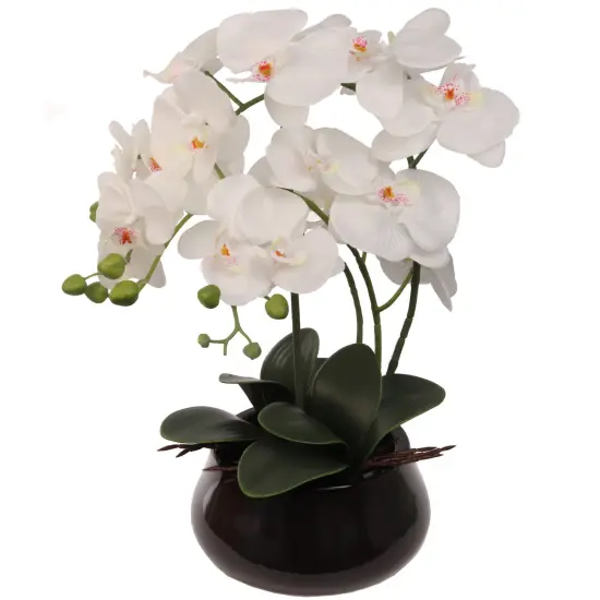 15-Inch Phalaenopsis Orchid - Elegant White Blooms, Home Decor, Perfect for Tabletops & Gifts - All-Season Elegance, Floral Home by Artificial Flowers {1}