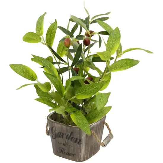 Northlight Artificial Olive Plant in Rustic Pot with Handles - 14" Green {7}