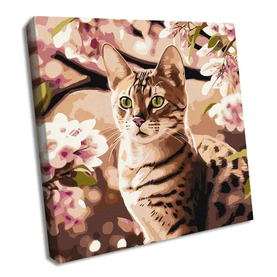 Painting by Numbers kit Kitten in the garden KHO6513 {1}