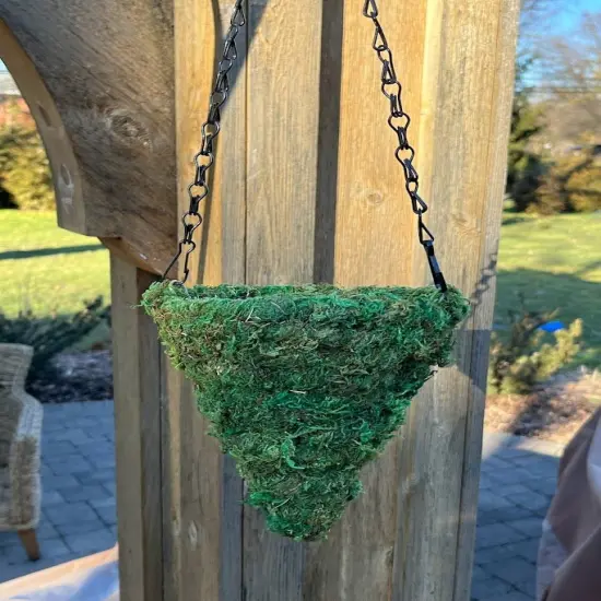 6" MOSS Hanging Basket - Circle Cone {4}