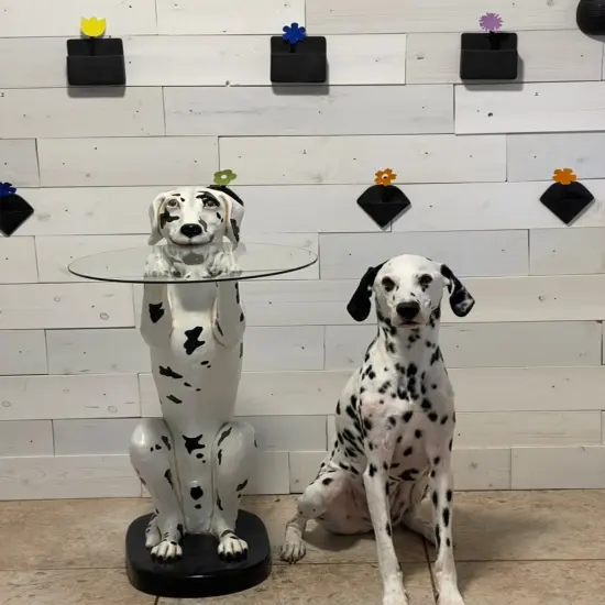 Dalmatian Butler Life Size Statue {4}