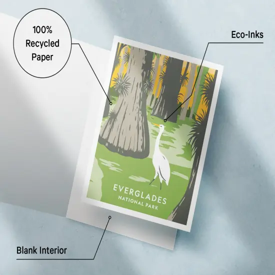 Twigs Paper - Assorted Art National Parks Greeting Cards - Stationery Cards with Envelopes - Thank You and Blank Note Cards - Greeting Cards for All Occasions - Made in USA (5.5 x 4.25, Set of 12) {5}