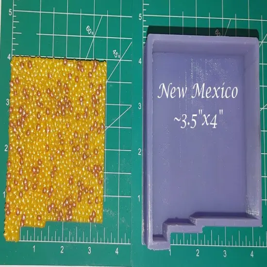 New Mexico - Bumpy Front - Silicone Freshie Mold {1}