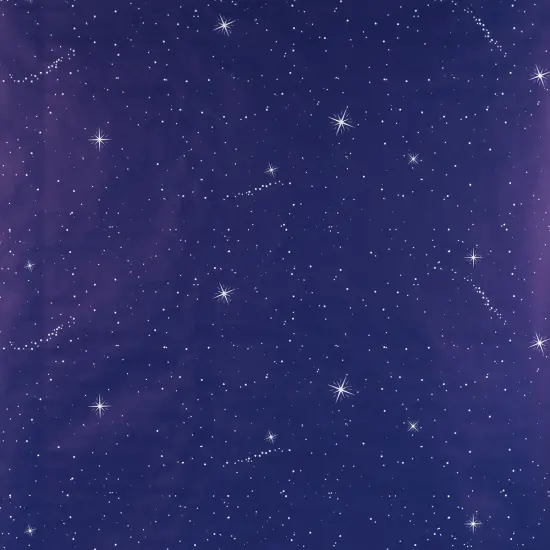 Fadeless Design Roll - 48" x 50 ft, Night Sky {1}