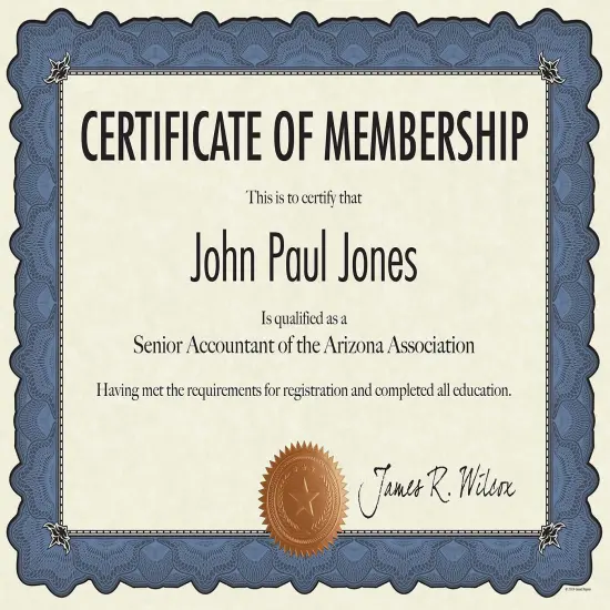 Great Papers! Cambridge Certificates with Copper Seal, Blue Border, 8.5" x 11", Printer Compatible, 10 Count {3}