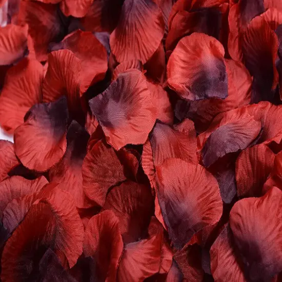 1000 Pcs Rose Petal Wedding Party Decorations Red {2}