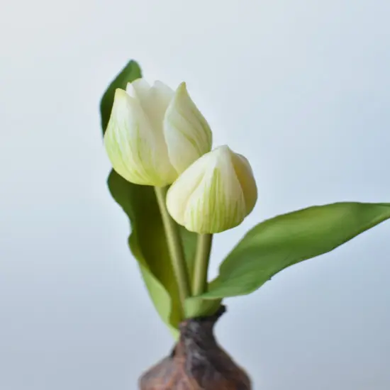 8" Faux Real Touch White Tulips in Bulb w/pick {2}