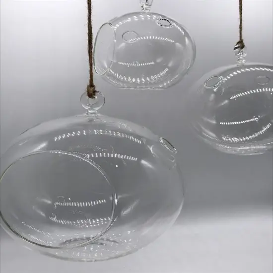 Hanging Glass Globe {2}