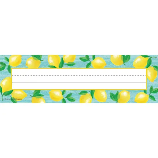 Lemon Zest Flat Name Plates, 11.5" x 3.5", 36 Per Pack, 6 Packs {2}