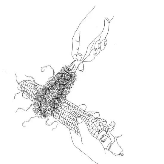 Brushtech Sweet Corn Silk Removing Brush Won't Damage Kernels Yellow and White {5}