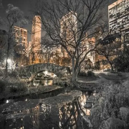 Evening view of Central Park in New York City Poster Print byAssaf Frank - Item # VARPDXAF201311191730C04 {1}