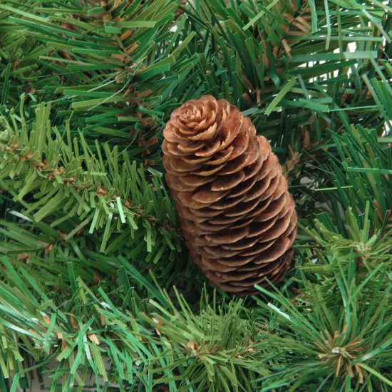 Northlight 4' Dakota Red Pine Full Profile Artificial Christmas Tree with Pine Cones - Unlit Green {3}