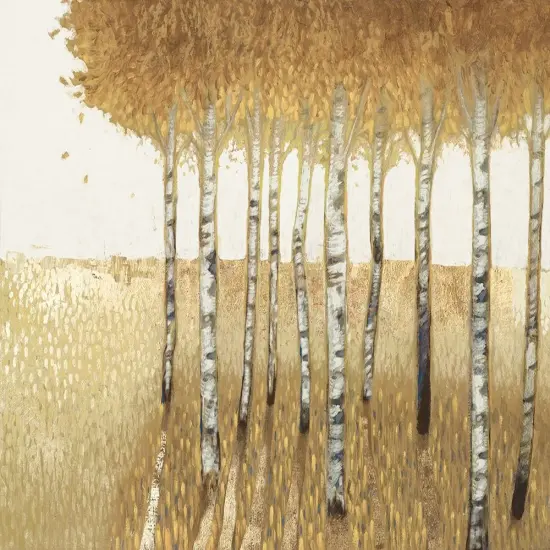 Sunset WalkPoster Print by Anthony Del Rizzo # AO008A {1}