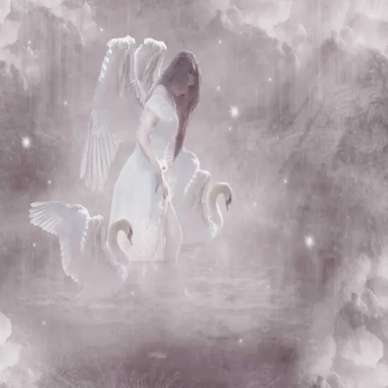 Swan Angel Poster Print by Babette - Item # VARPDX82709 {2}