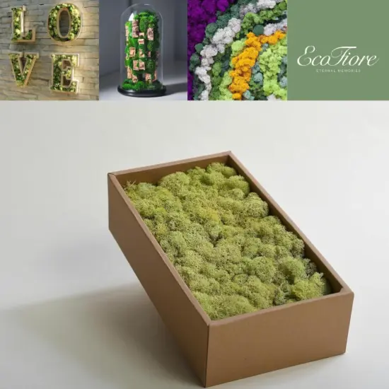 Moss Preserved Lime Green for Fairy Gardens Terrariums, Craft, DIY, Floral, 500g {1}