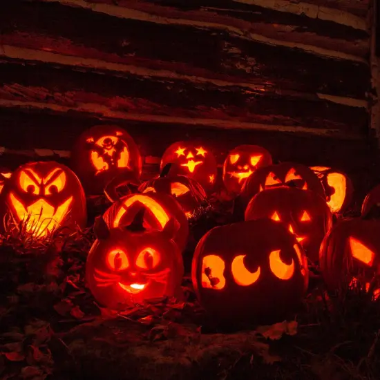 Halloween Pumpkin Carving Kit | Stainless Steel Decorative Tools for Sculpting and Cutting {6}