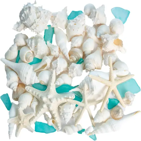 Sea Shells Real Mixed Beach Seashells with Real Starfish & Caribbean Blue Sea Glass White Decorative Seashell D&eacute;cor & Blue Seaglass Pieces Sea Shells Bulk 1 Pack {1}