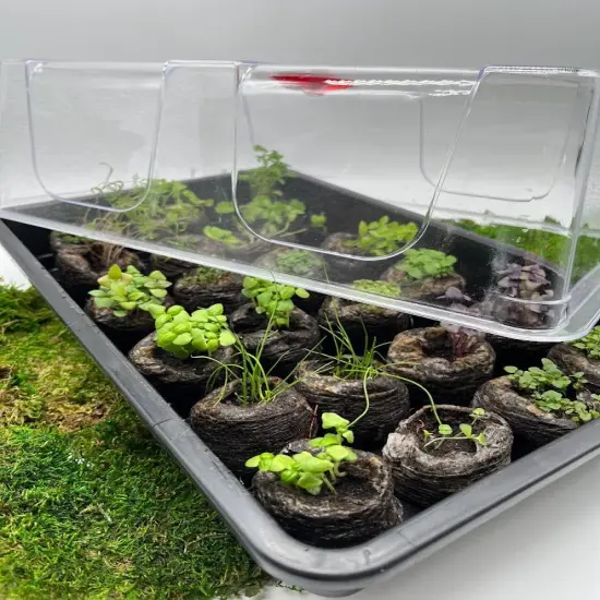 Mini Greenhouse - Grow 28 plants LARGE {2}