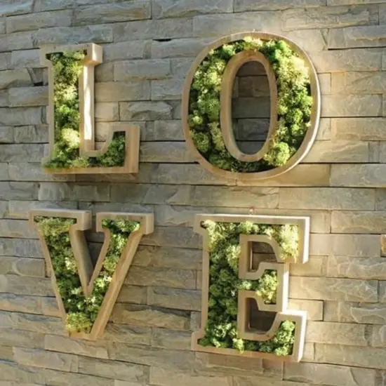 Moss Preserved Lime Green for Fairy Gardens Terrariums, Craft, DIY, Floral, 500g {4}