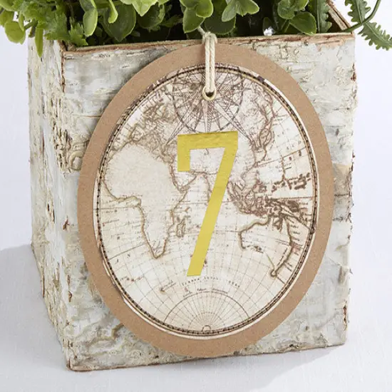 Travel and Adventure Gold Foil Table Numbers (1-18) {2}