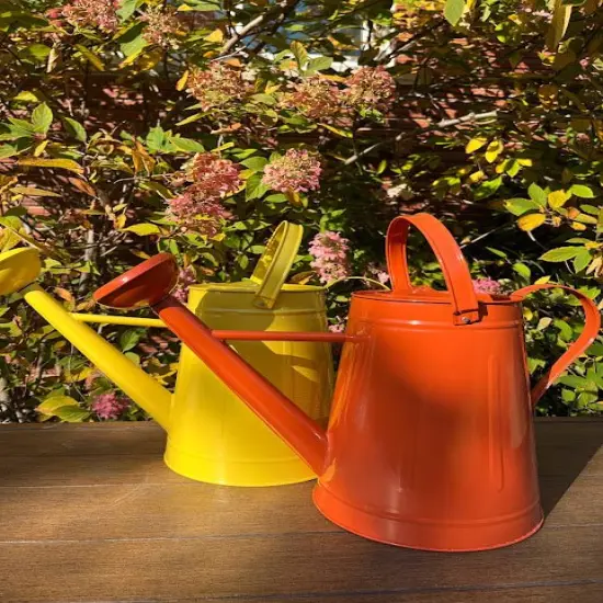 Large Watering Can - FUN COLORS Lilac {5}