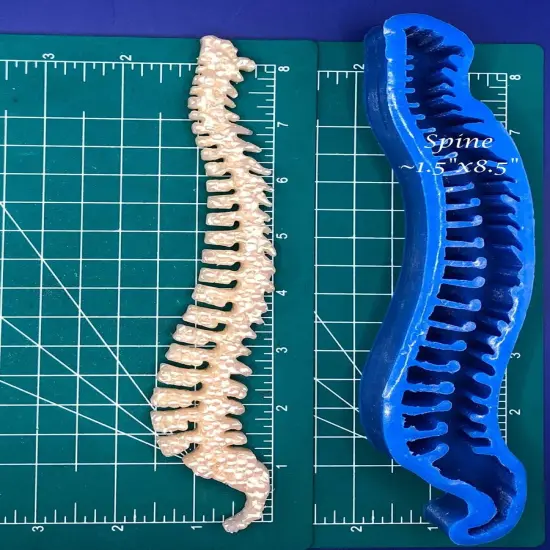 Spine Silicone Freshie Mold {1}