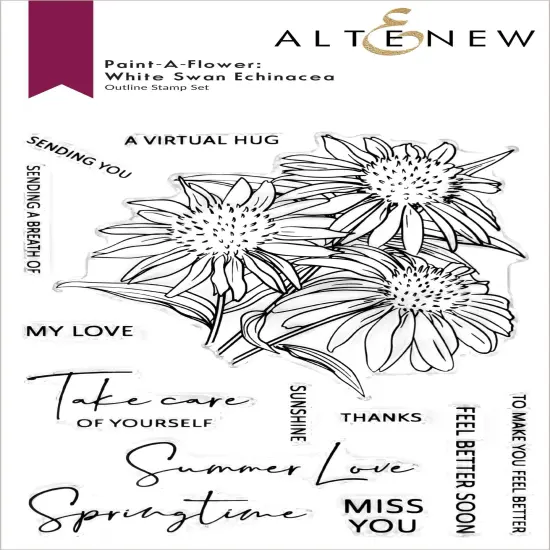 Paint-A-Flower: White Swan Echinacea Outline Stamp Set {1}