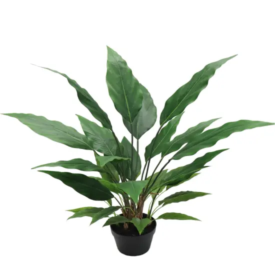 Verdant 3-Foot Peace Lily Plant &ndash; Lush Spathiphyllum in Decorative Pot, Air-Purifying Indoor Plant, Perfect for Home or Office Decor {1}
