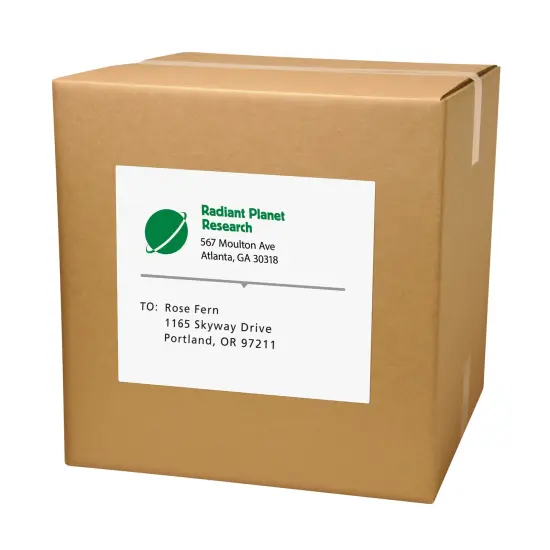 Avery Shipping Address Labels, Laser Printers, 500 Labels, Full Sheet Labels, Permanent Adhesive (91200) {2}