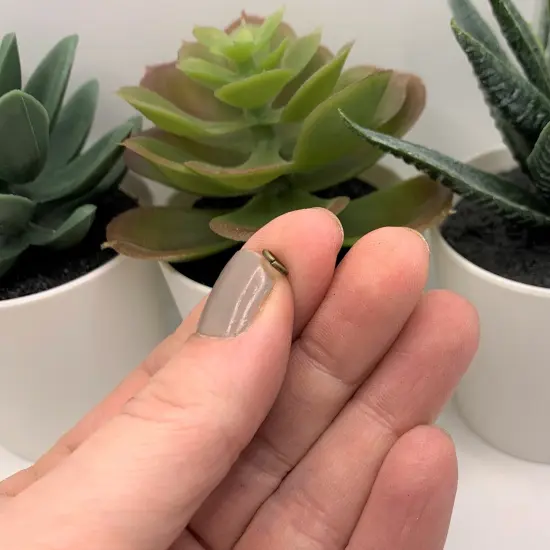 100, 500 or 1,000 Pieces: 5 mm Bronze Plated Open Jump Rings, 18g {4}