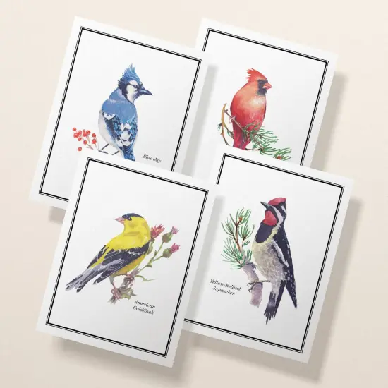 Watercolor Birds Greeting Cards | Bird Watching Cards | Cardinal Card| Blue Jay Card | Birds Card Set | Birds Names Cards | Bird Identification {1}