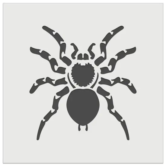 Tarantula Spider Arachnid Bug Wall Cookie DIY Craft Reusable Stencil {7}
