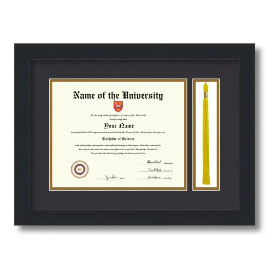 ArtToFrames 8x10 inch Diploma Frame with Tassel Opening - Framed with Black and Gold Mats, Comes with Regular Glass and Sawtooth Hanger for Wall Hanging (DT-8x10) {5}