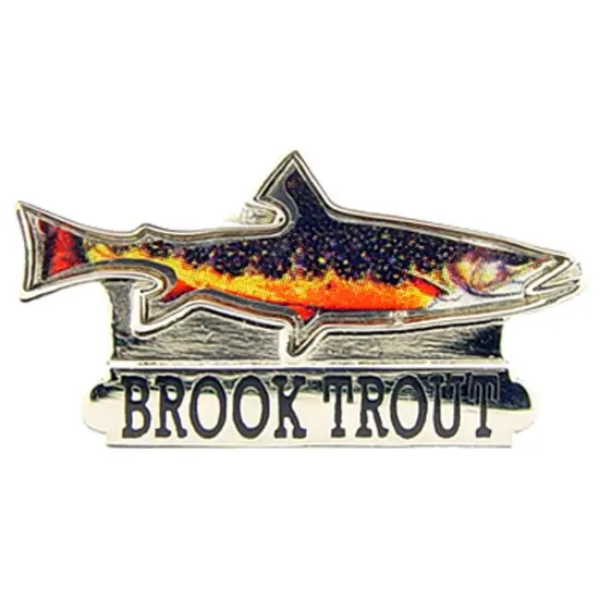 EagleEmblems P00240 PIN-Fish,Trout,Brook (1'') {1}